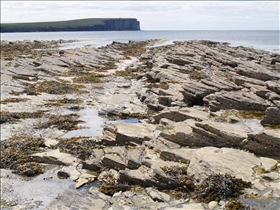 Brough of Birsay